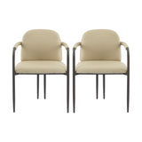 Modern Dining Chair (Set of 2) With Iron Frame - Espresso / Khaki