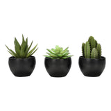 Artificial Succulent Plants (Set of 3)