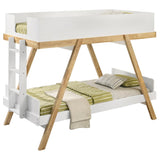 Frankie Twin Over Twin Bunk Bed with 7-inch Mattresses White - 460570T-SM