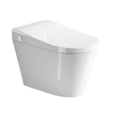 Smart Bidet Toilet With Auto Open / Close Seat, Warm Water Wash, Heated Seat, And Wireless Remote Control