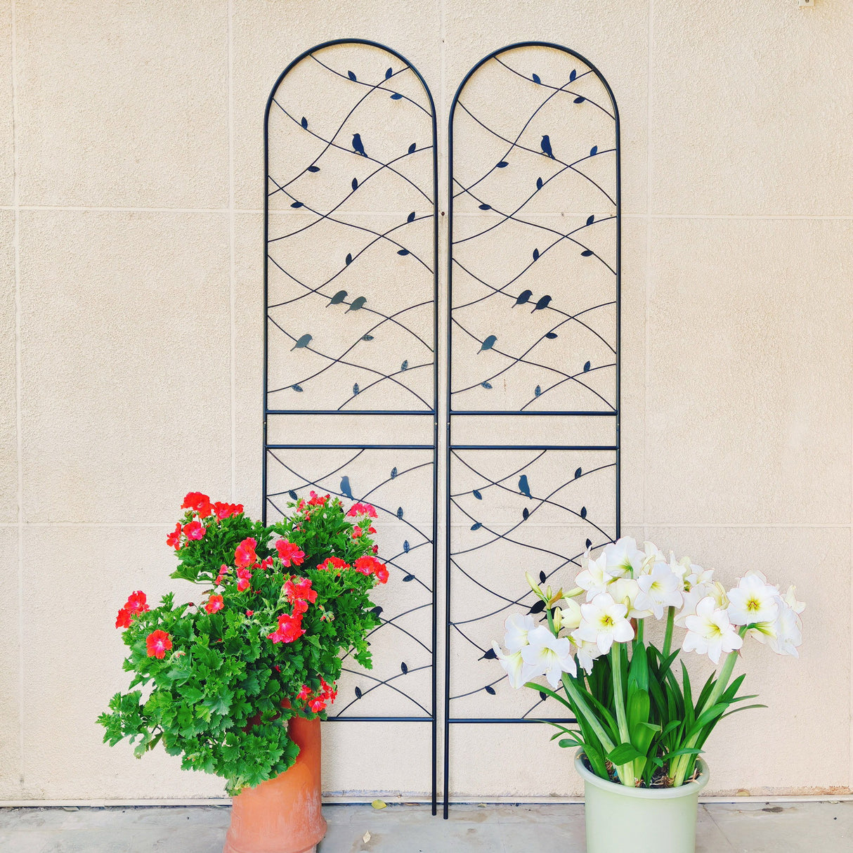 Garden Rustproof Trellis For Climbing Plants