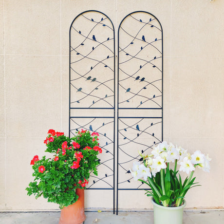 Garden Rustproof Trellis For Climbing Plants