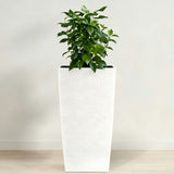 Indoor Outdoor Planter With Automatic Watering System