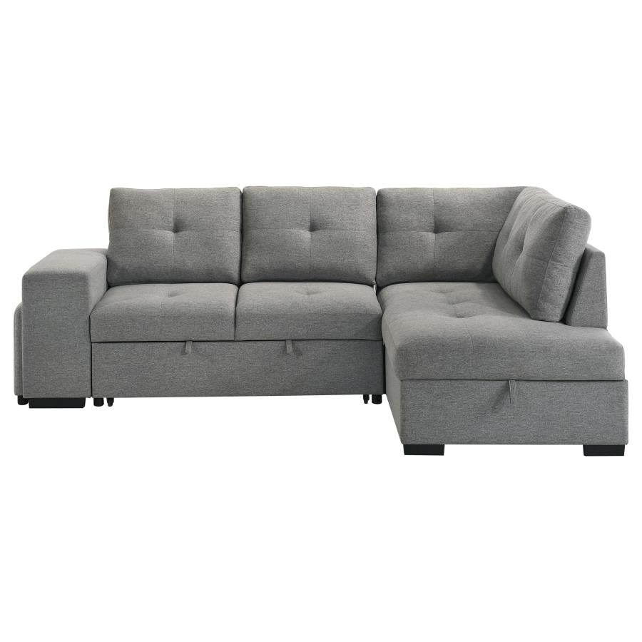 Roanne Fabric Upholstered Sleeper Sectional Sofa Grey - 500347
