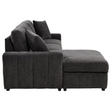 Pastrana Upholstered Sleeper Sectional Sofa LAF Chaise Grey - 500349