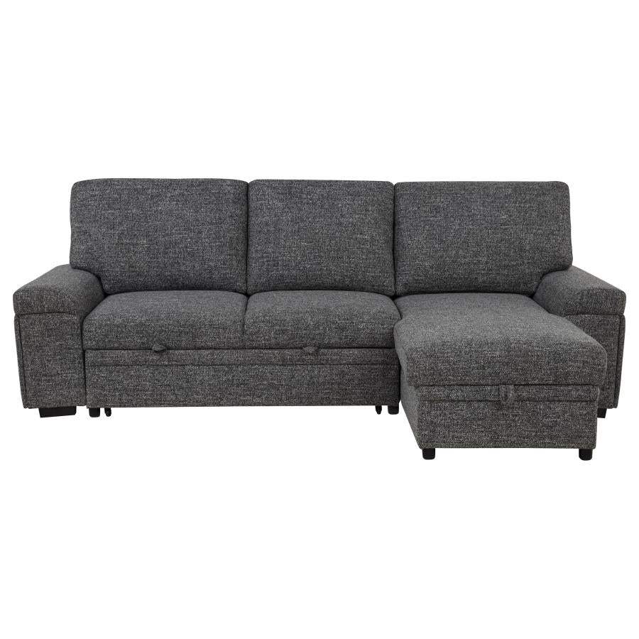 Demko Sleeper Sectional Sofa with Speaker and Storage Chaise Granite - 500355