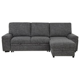 Demko Sleeper Sectional Sofa with Speaker and Storage Chaise Granite - 500355