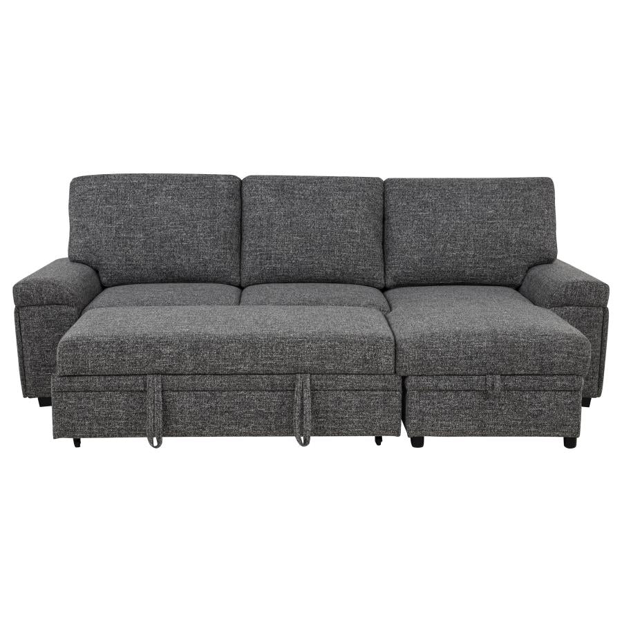 Demko Sleeper Sectional Sofa with Speaker and Storage Chaise Granite - 500355
