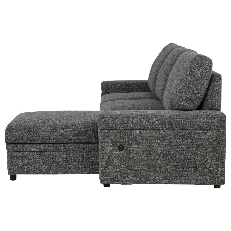 Demko Sleeper Sectional Sofa with Speaker and Storage Chaise Granite - 500355