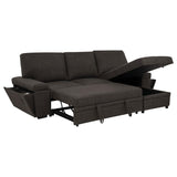 Demko Sleeper Sectional Sofa with Speaker and Storage Chaise Brown - 500356
