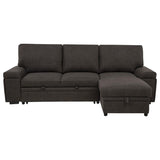 Demko Sleeper Sectional Sofa with Speaker and Storage Chaise Brown - 500356