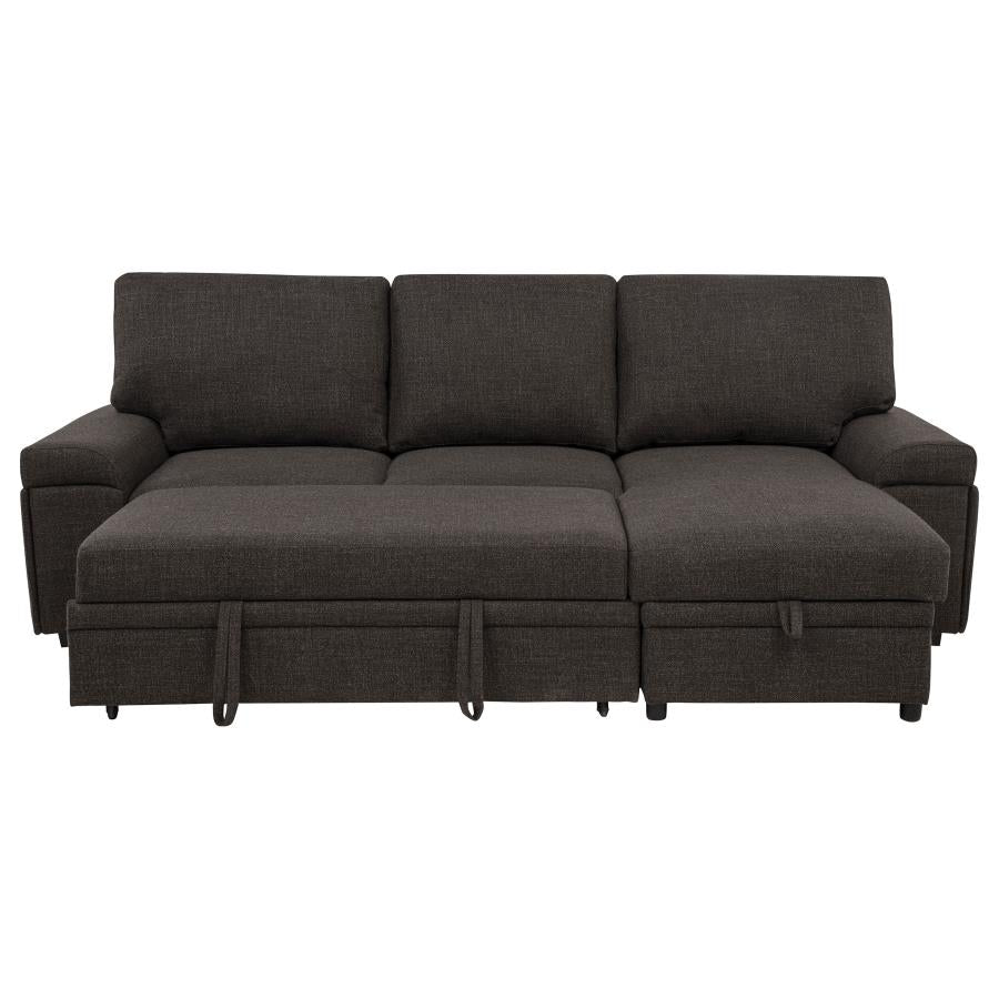Demko Sleeper Sectional Sofa with Speaker and Storage Chaise Brown - 500356