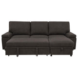 Demko Sleeper Sectional Sofa with Speaker and Storage Chaise Brown - 500356
