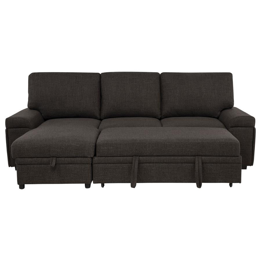 Demko Sleeper Sectional Sofa with Speaker and Storage Chaise Brown - 500356