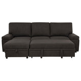 Demko Sleeper Sectional Sofa with Speaker and Storage Chaise Brown - 500356