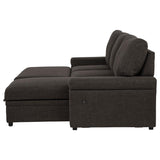 Demko Sleeper Sectional Sofa with Speaker and Storage Chaise Brown - 500356