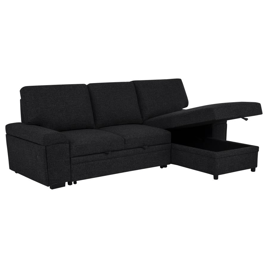 Demko Sleeper Sectional Sofa with Speaker and Storage Chaise Black - 500357