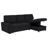 Demko Sleeper Sectional Sofa with Speaker and Storage Chaise Black - 500357