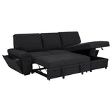 Demko Sleeper Sectional Sofa with Speaker and Storage Chaise Black - 500357