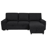 Demko Sleeper Sectional Sofa with Speaker and Storage Chaise Black - 500357