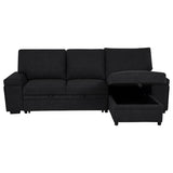 Demko Sleeper Sectional Sofa with Speaker and Storage Chaise Black - 500357