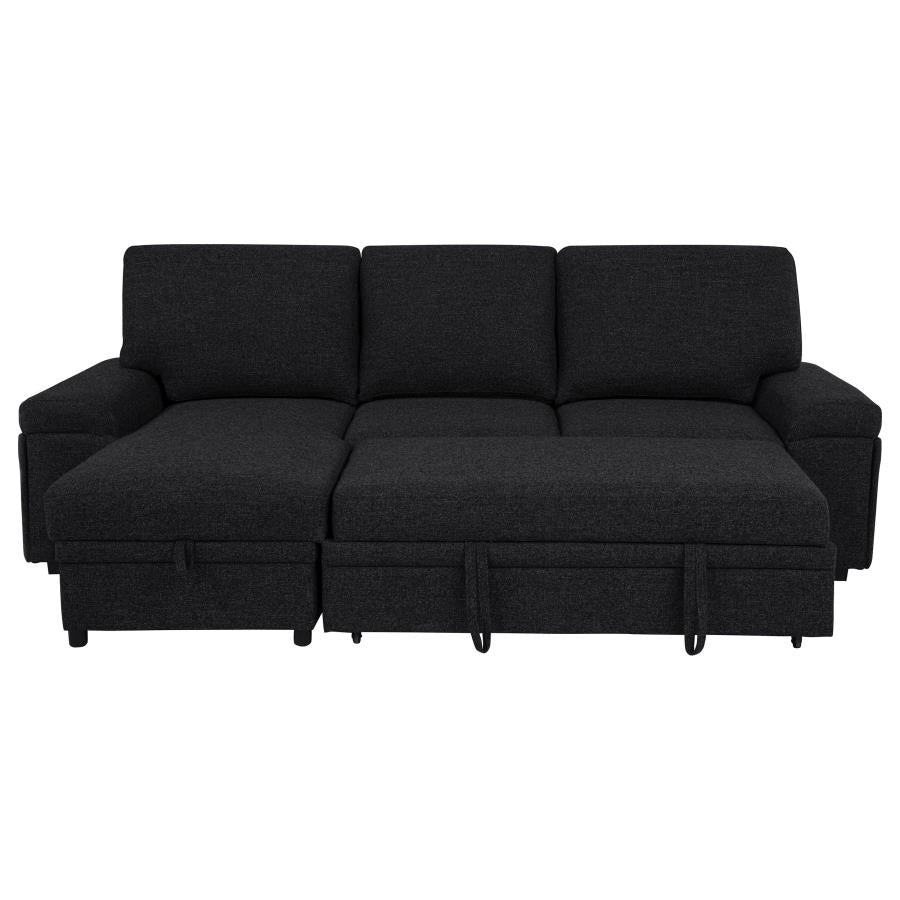 Demko Sleeper Sectional Sofa with Speaker and Storage Chaise Black - 500357