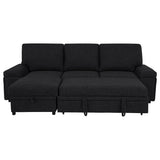 Demko Sleeper Sectional Sofa with Speaker and Storage Chaise Black - 500357