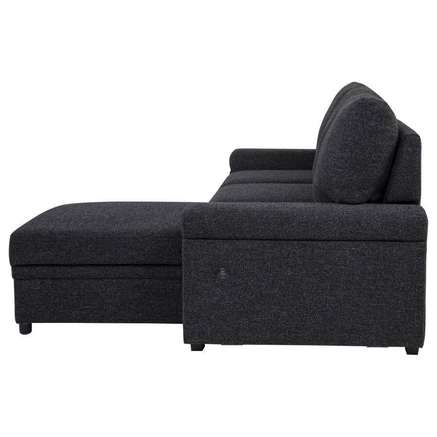 Demko Sleeper Sectional Sofa with Speaker and Storage Chaise Black - 500357