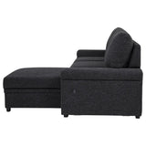 Demko Sleeper Sectional Sofa with Speaker and Storage Chaise Black - 500357