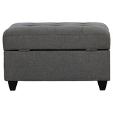 Stonenesse Rectangular Upholstered Storage Ottoman Grey - 500414