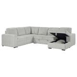 Devonshire Sleeper Sectional Sofa Storage Chaise Grey - 501208