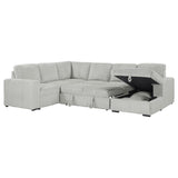 Devonshire Sleeper Sectional Sofa Storage Chaise Grey - 501208