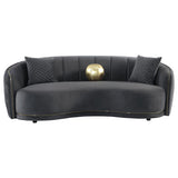 Brookside 2-piece Velvet Upholstered Sofa Set Dark Grey - 504844-S2