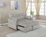Cotswold Upholstered Convertible Sleeper Sofa Bed Light Grey - 508307