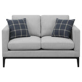 Apperson 2-piece Upholstered Track Arm Sofa Set Light Grey - 508681-S2