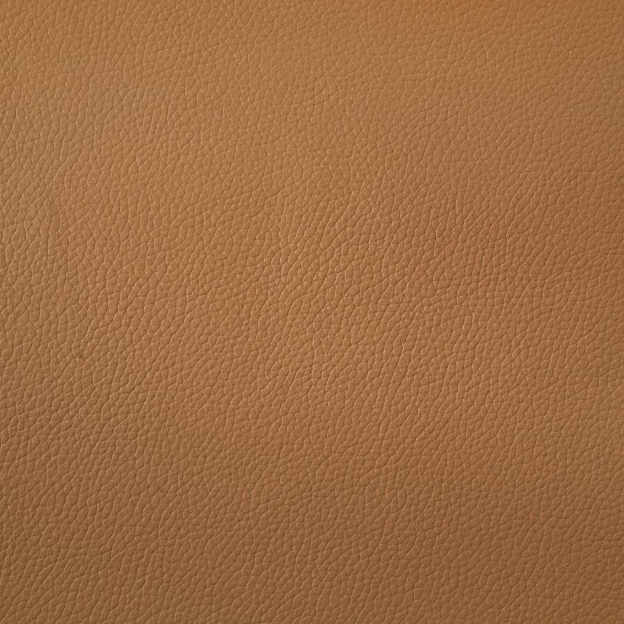 Buxton Top Grain Leather Upholstered Loveseat Orange - 509502