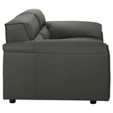Buxton 2-piece Leather Upholstered Sofa Set Graphite - 509504-S2