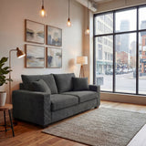 2 Seater Sofa, 2 Throw Pillows For Living Room