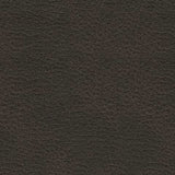 Femley Recliner - PC5330625