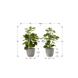 Artificial Ficus Elastica Plant (Set of 2)
