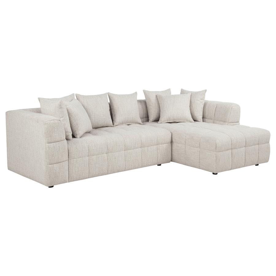 Amara 2-Piece Upholstered Sectional Sofa - 551911-SETB