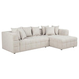 Amara 2-Piece Upholstered Sectional Sofa - 551911-SETB
