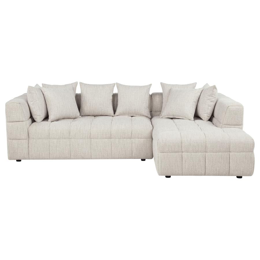 Amara 2-Piece Upholstered Sectional Sofa - 551911-SETB