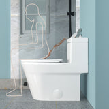 1 Piece Toilet For Bathroom, Dual Flush 1.24 / 1.43 Gpf, Soft Closing Seat - White