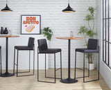Fuji - Contemporary High Back Barstool Elegant Design