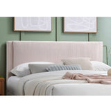 Contemporary Bed & Storage Drawer
