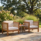 Outdoor Club Chair & Rope Arm And Cushions