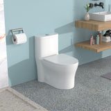1 Piece Toilet For Bathroom, Dual Flush 1.22/1.6 Gpf, Soft Closing Seat - White