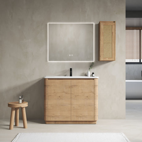 Freestanding Bathroom Vanity With Sink And 2 Soft Close Doors