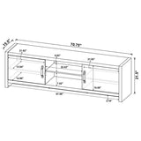 Burke 2-door Engineered Wood 71-inch TV Stand Grey Driftwood - 701025